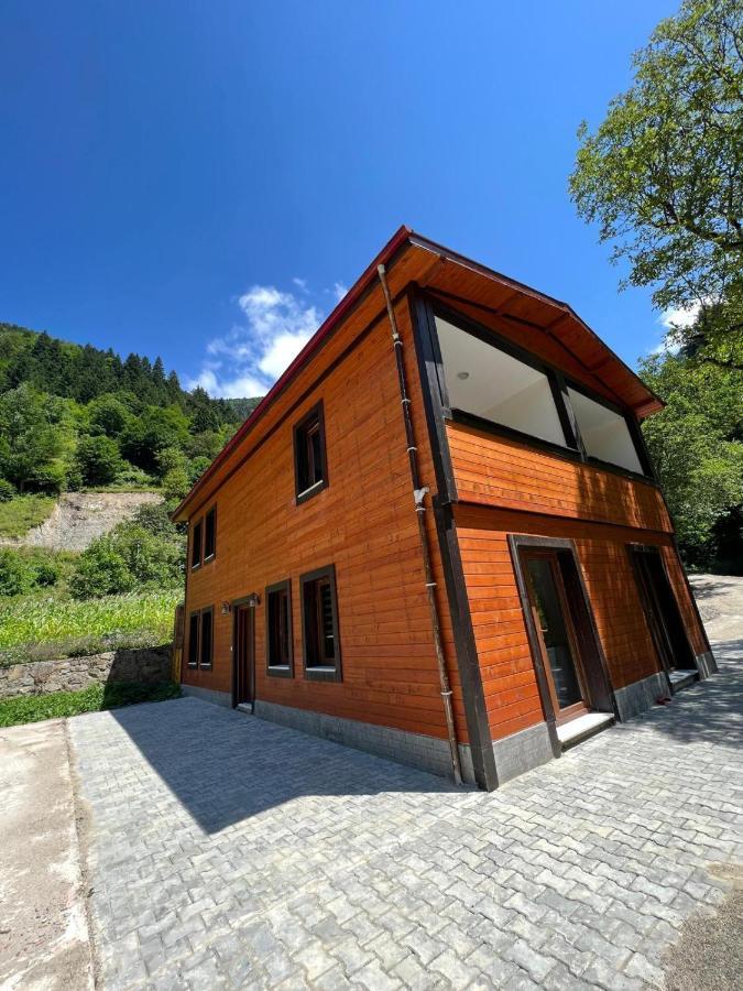 Vega Apart Homestay